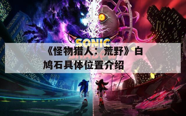 《怪物猎人：荒野》白鸠石具体位置介绍