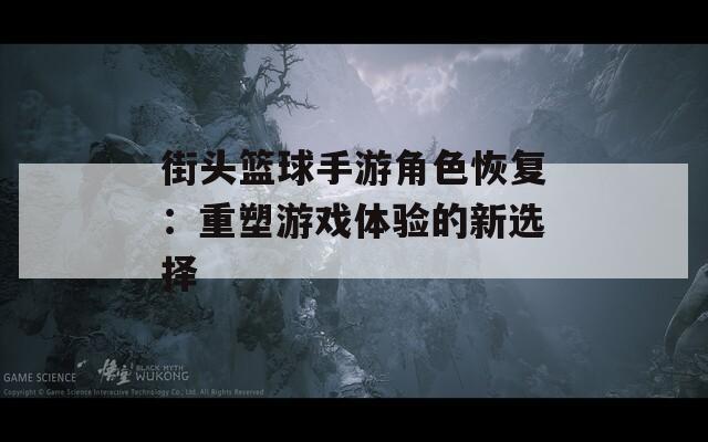 街头篮球手游角色恢复：重塑游戏体验的新选择  第1张