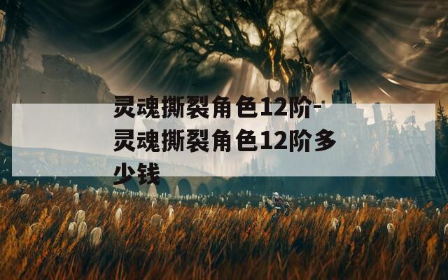 灵魂撕裂角色12阶-灵魂撕裂角色12阶多少钱  第1张