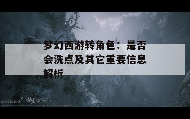 梦幻西游转角色：是否会洗点及其它重要信息解析  第1张
