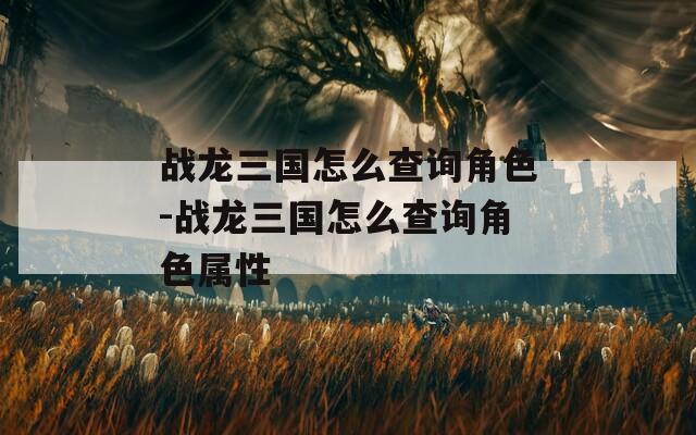 战龙三国怎么查询角色-战龙三国怎么查询角色属性