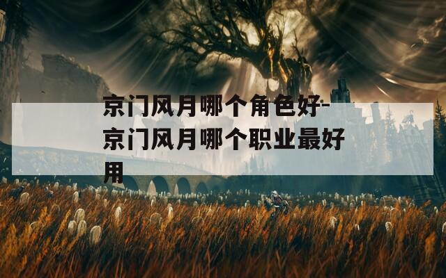 京门风月哪个角色好-京门风月哪个职业最好用