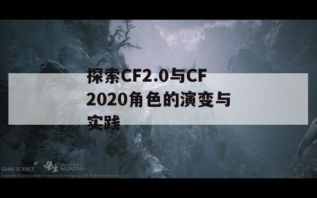 探索CF2.0与CF2020角色的演变与实践
